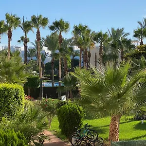 Discover Perfect Apartment, Only 300m Away Vera